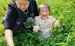 热热撸影音先锋